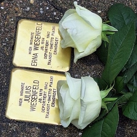 Zwei der 2023 in Ginsheim-Gustavsburg verlegten Stolpersteine. Zwei der 2023 in Ginsheim-Gustavsburg verlegten Stolpersteine.